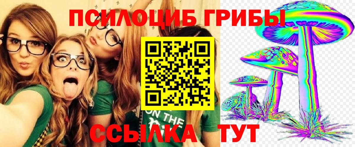 Черногорск  Галлюциногенные грибы мухоморы  Вход с VPN 
