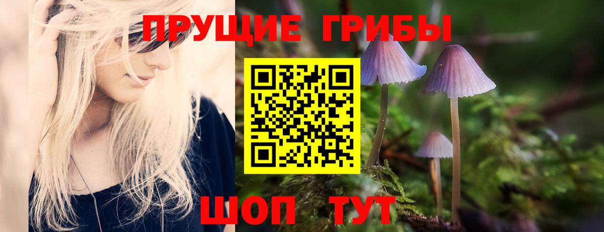 Псилоцибиновые грибы прущие грибы Черногорск
